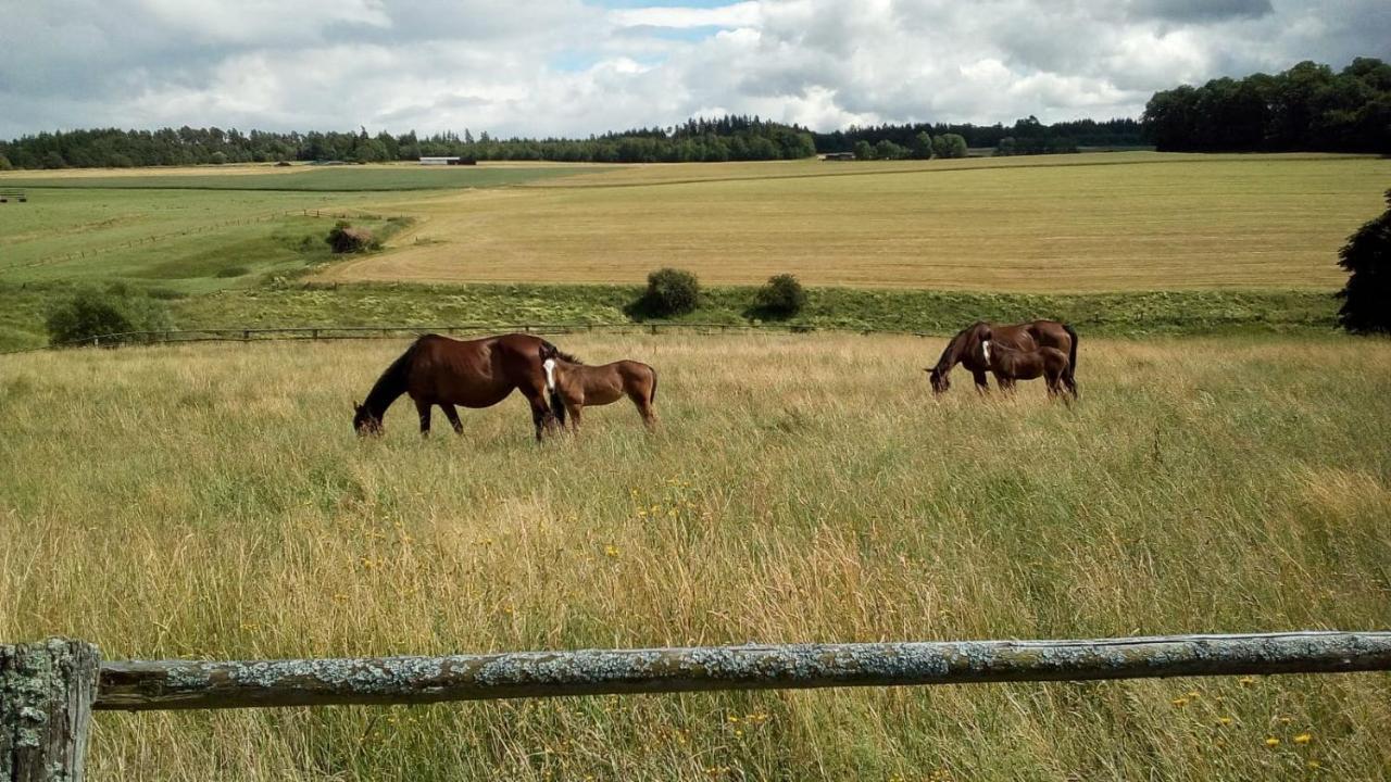 Schoene Aussicht Vöhl Exteriér fotografie